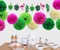 Hawaiian Party Decorations Flamingo Green Palm Leaf Banner with Pom Poms Paper Flowers Tissue Paper Fans for Luau Tropical Jungle Beach Safari Party Supplies Theme